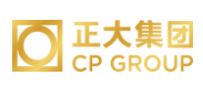 马村正大集团